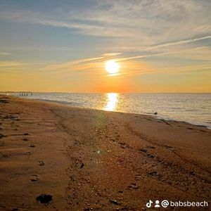 Meet your Posher, Barbara